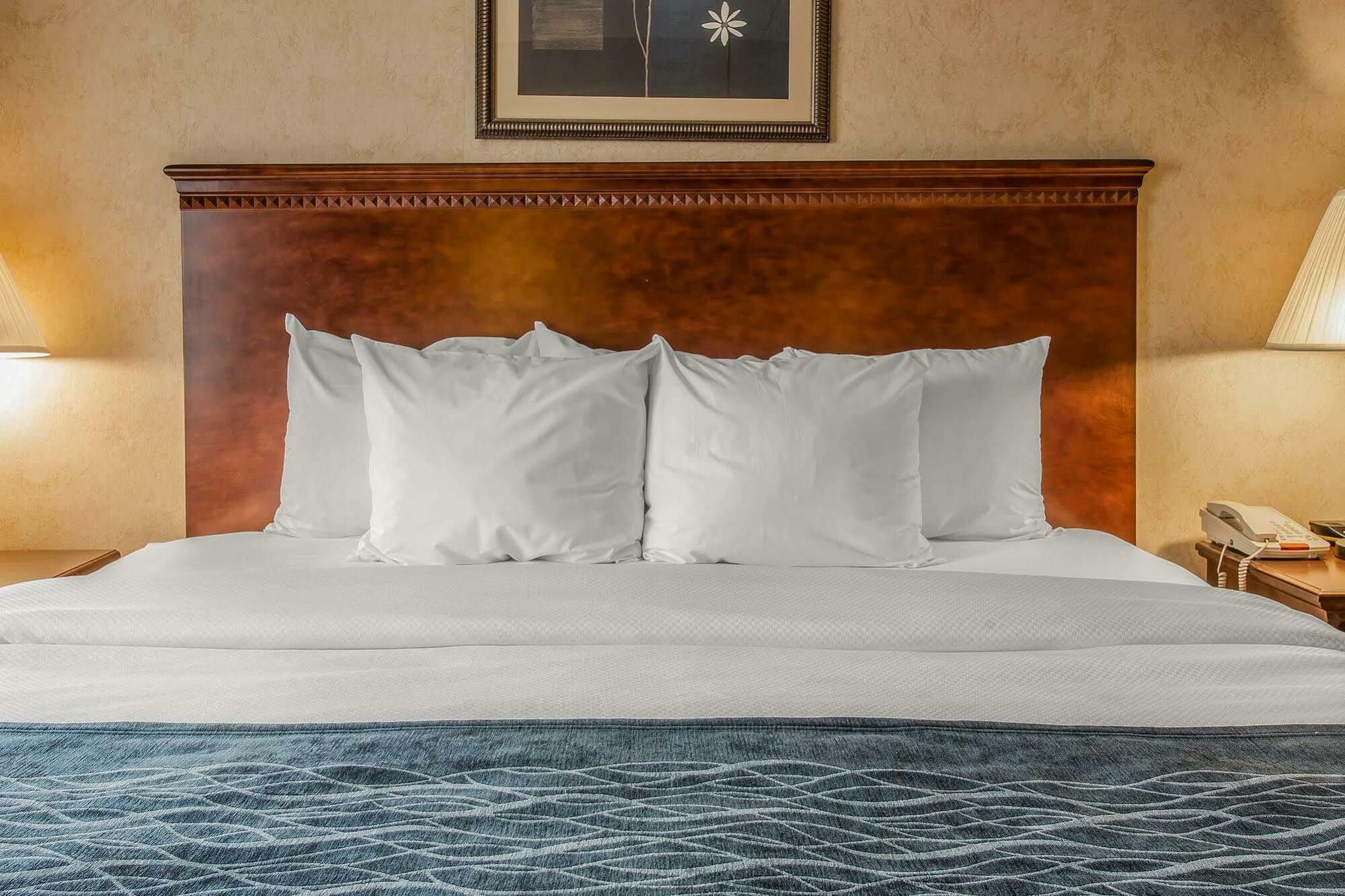 Quality & Near I-69 Hotel 3*
